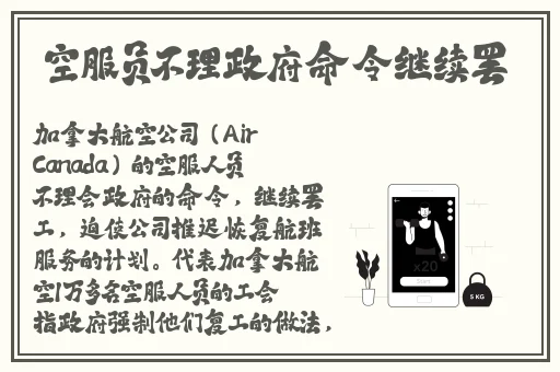 尺井芽衣